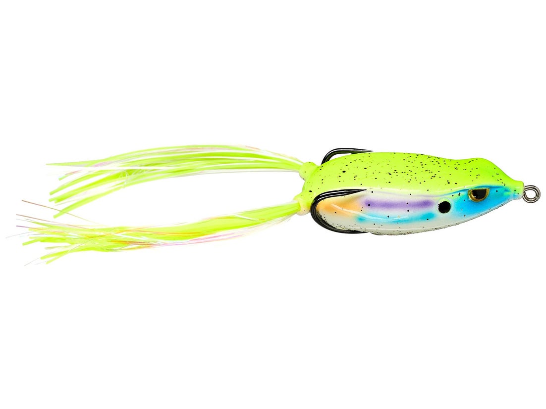 Gambler Walking Frog