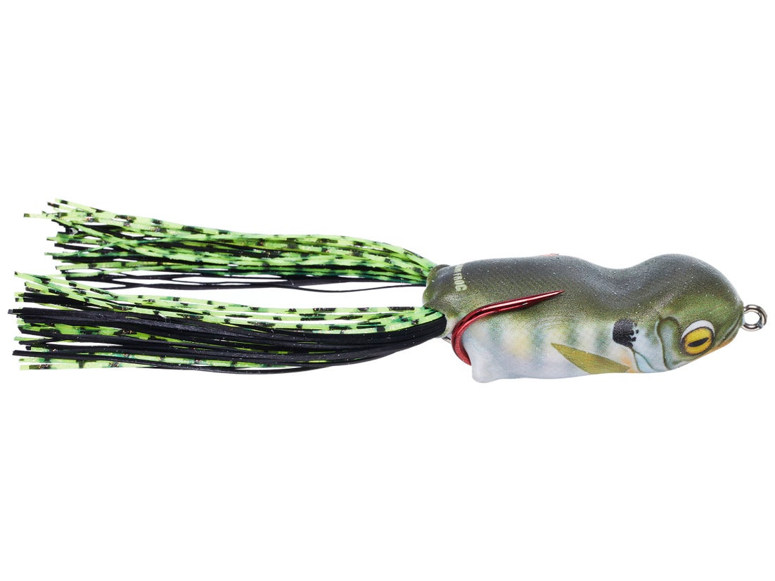 Scum Frog Launch Frog XS