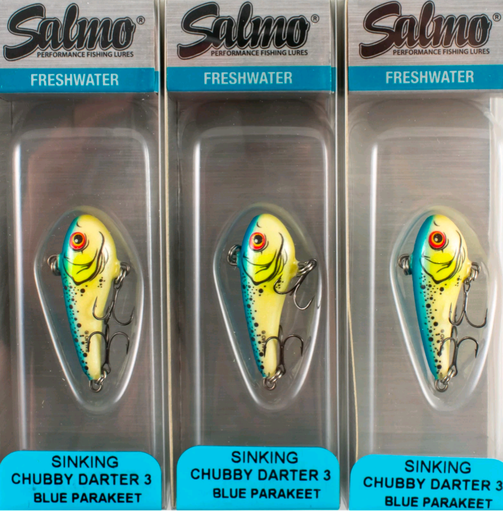 Salmo Chubby Darter 11