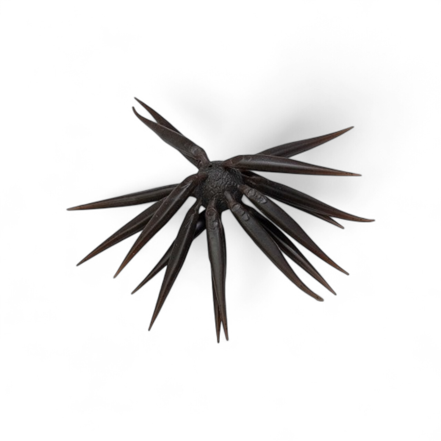 Hideup Coike Fish Elastomer (M) -[COMING SOON!] 4