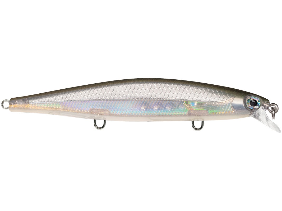 Rapala Shadow Rap Jerkbaits 10