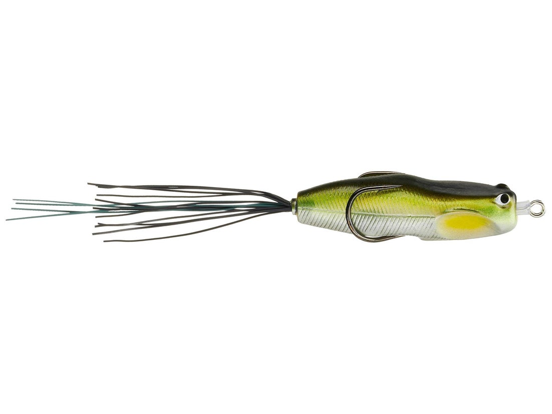 Nories Hoshokuon Frog 76 2