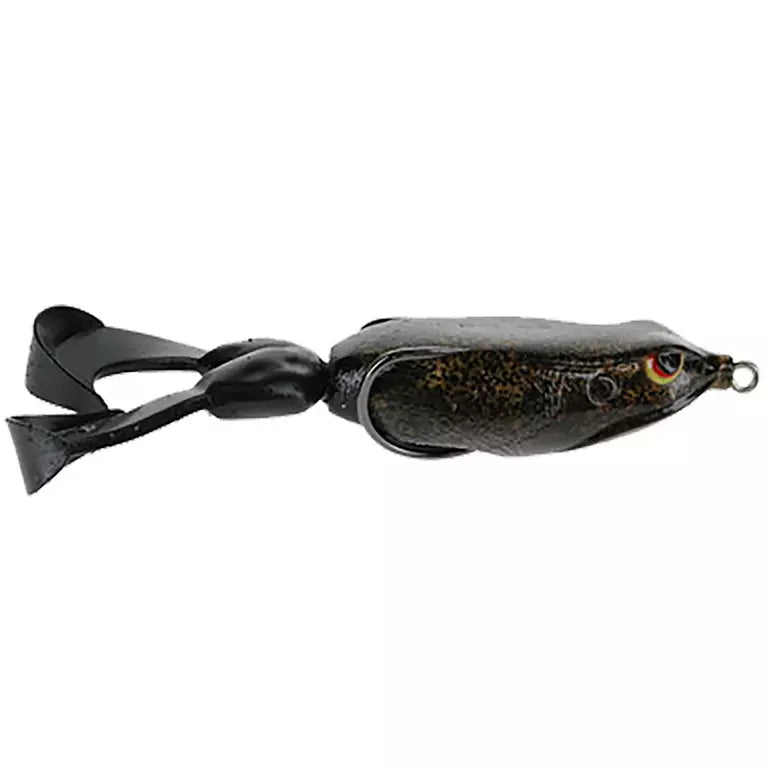 Gambler Swimming Frog 4