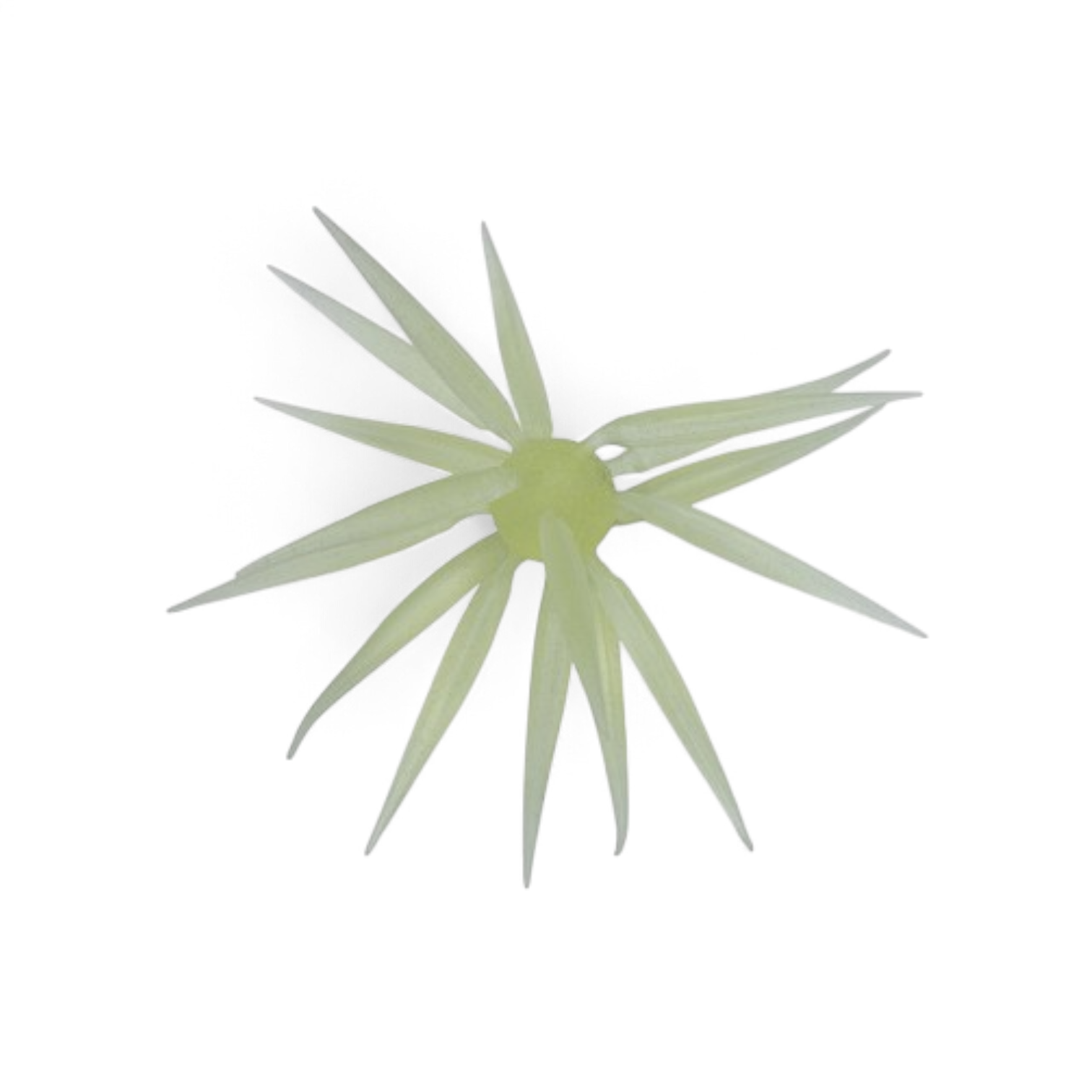 Hideup Coike Fish Elastomer (M) -[COMING SOON!] 1