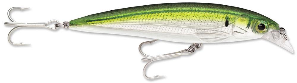 Rapala SXR-10 X-Rap Saltwater 4 inch Rip Bait 5