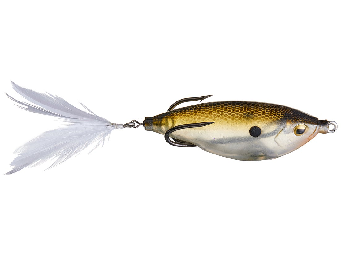 Teckel Sharker Frog 4