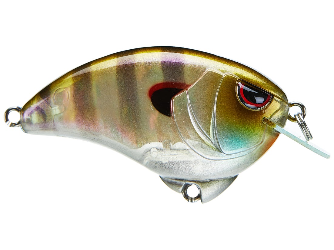 SPRO Outsider Crank SR 55 Crankbait 5
