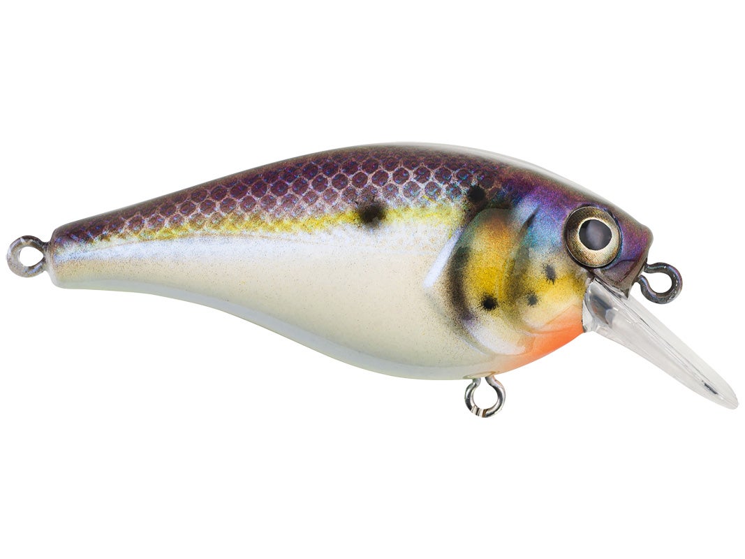 Berkley Squarebull Crankbait 14