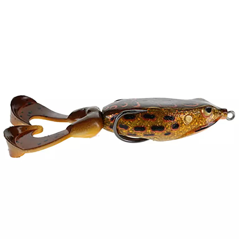 Gambler Swimming Frog 3