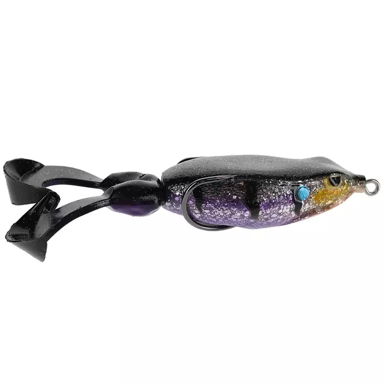 Gambler Swimming Frog 2