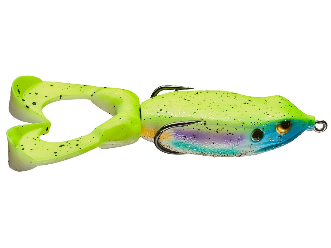 Gambler Swimming Frog