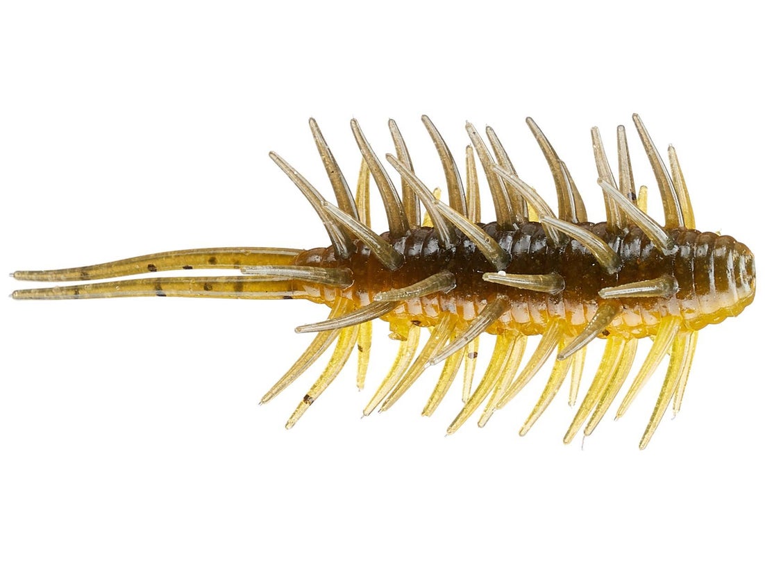 Hideup Coike Shrimp Medium Creature Bait 2