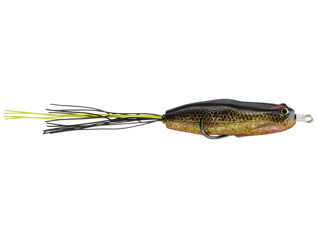 Nories Hoshokuon Frog 76 1