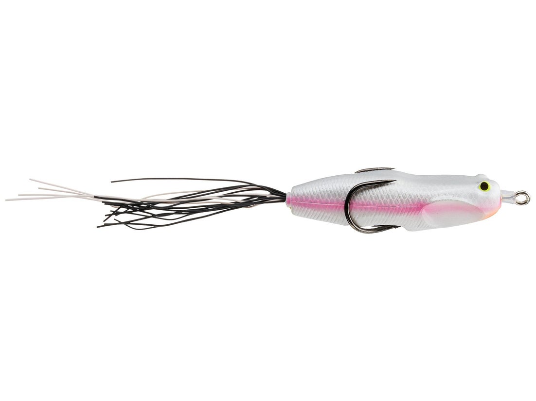 Nories Hoshokuon Frog 76 7