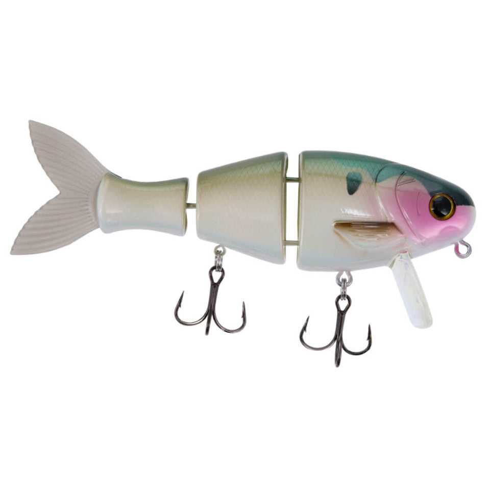 Bucca Brand Bull Wake 5"