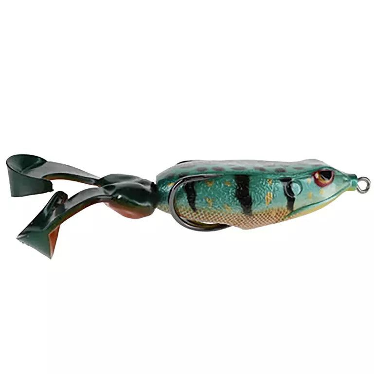 Gambler Swimming Frog 6