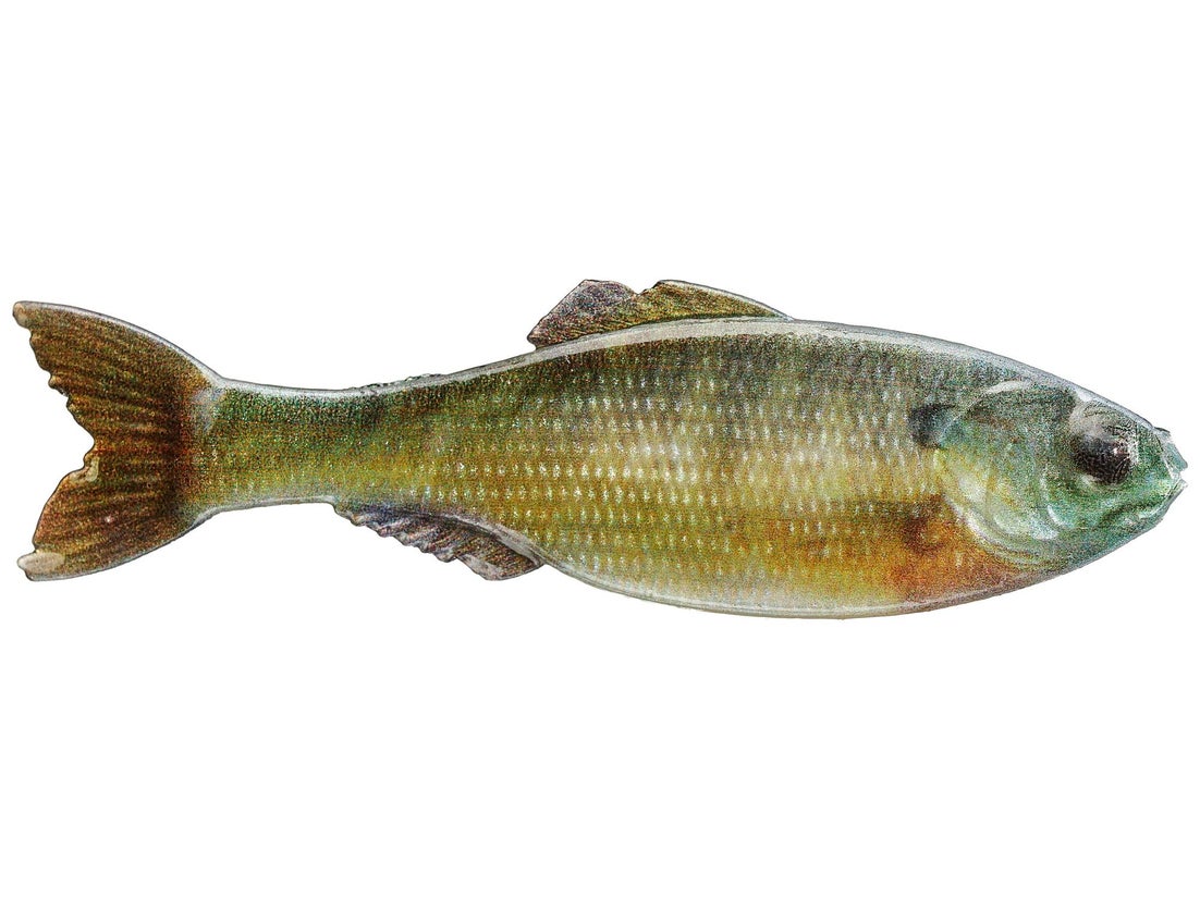 6th Sense Panorama Shad 5