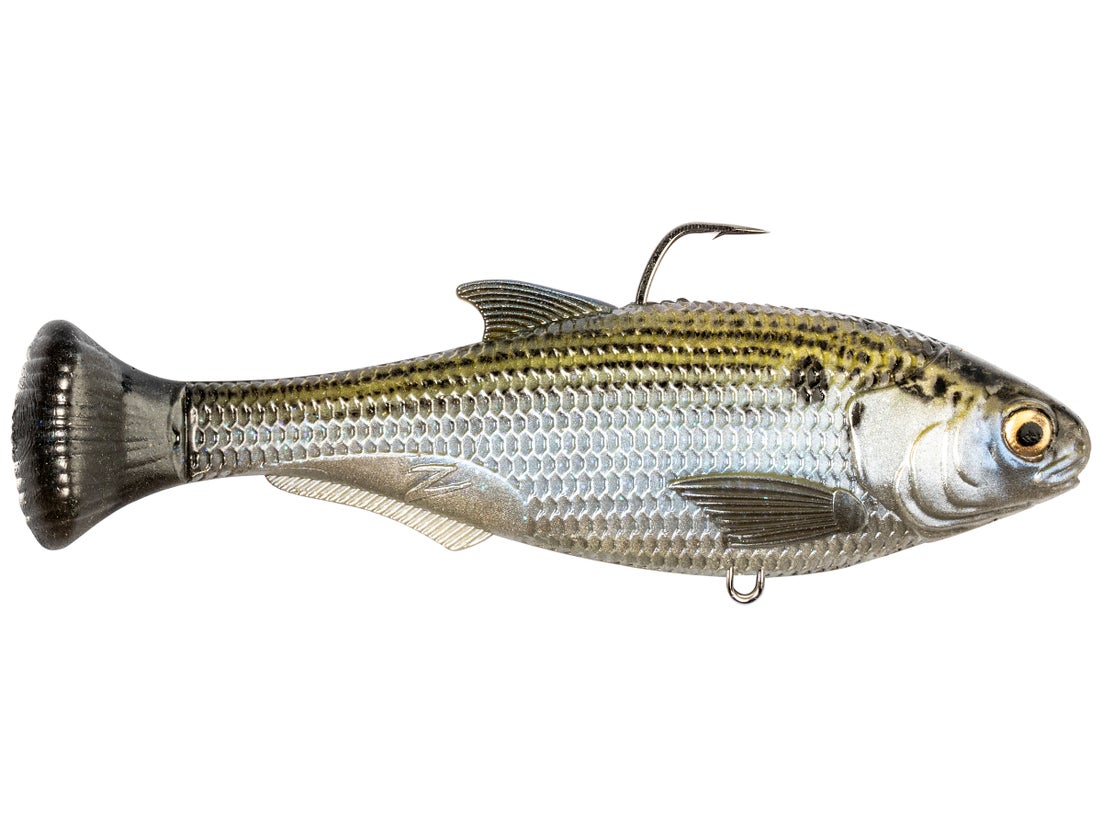 Z-Man Shadtron LT Swimbait 6