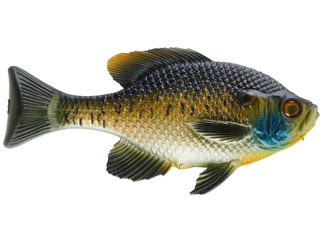 13 Fishing - Coalition The Gill Wedge Tail Swimbait 4