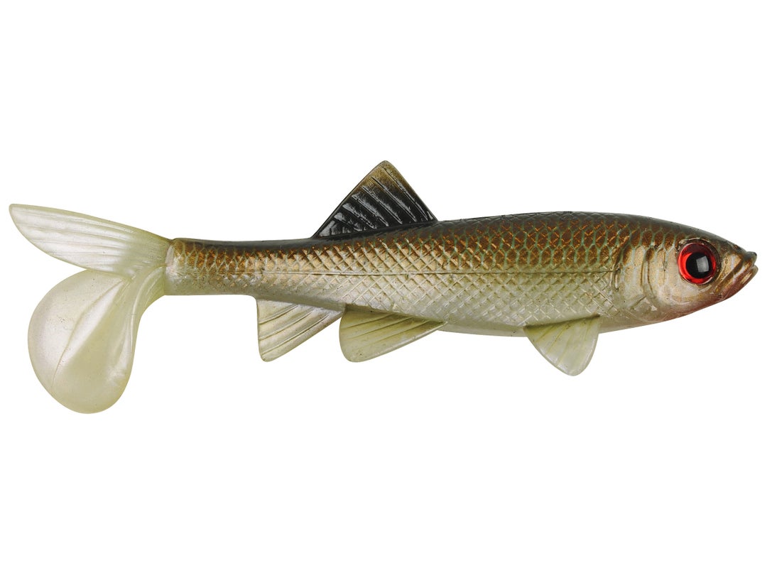 Berkley Powerbait Sick Fish Swimbait 6