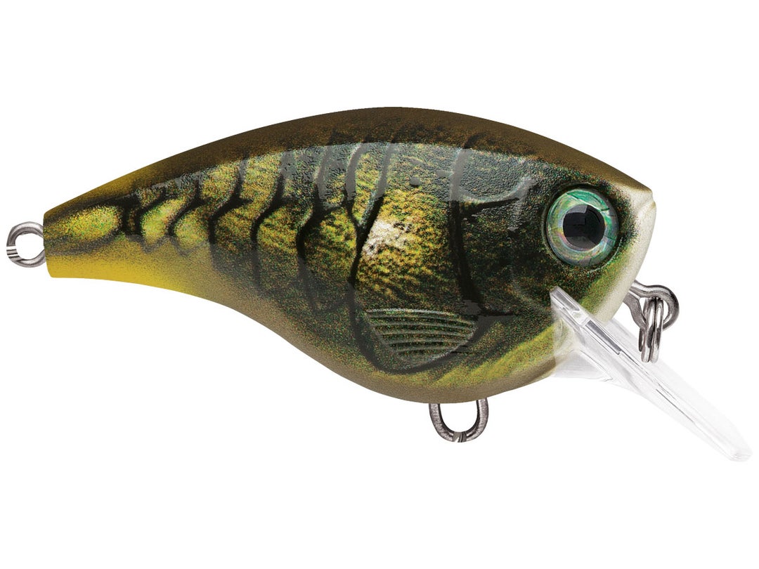 Rapala Balsa Xtreme BX Brat Squarebill Crankbaits 13