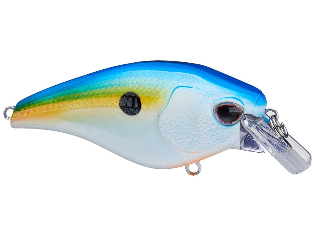 Nomad Design Atlas Squarebill Crankbait 5
