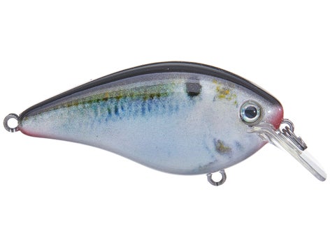 Strike King KVD 1.0 Square Bill Silent Crankbait 10