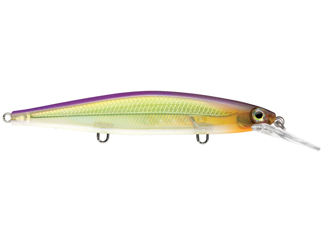 Rapala Shadow Rap Deep Jerkbaits 4