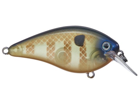 Strike King KVD 1.5 Hard Knock Squarebill Crankbait