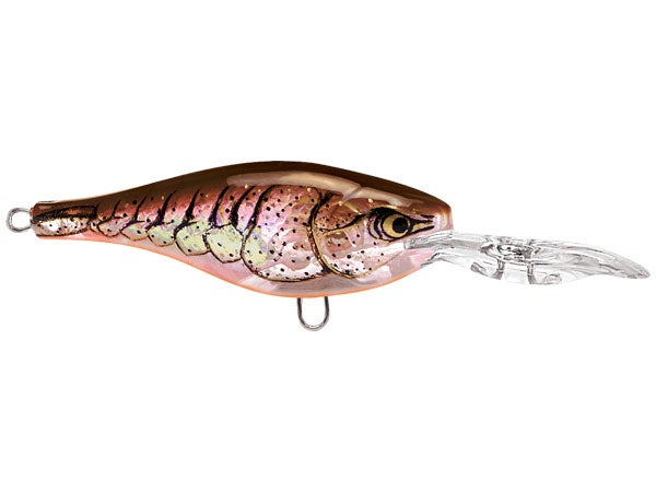 Rapala Glass Shad Rap Crankbaits 5