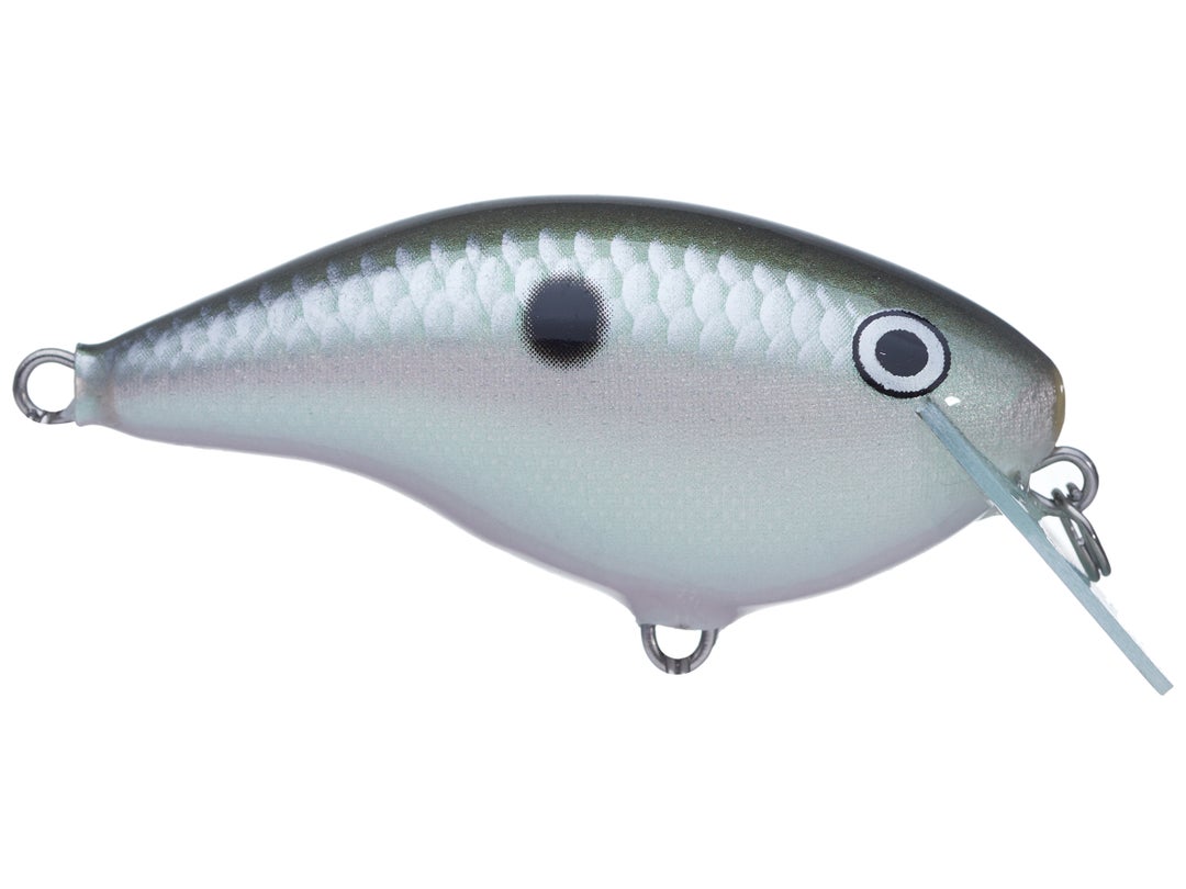 Rapala Ott's Garage OG Rocco 5 Crankbait 15
