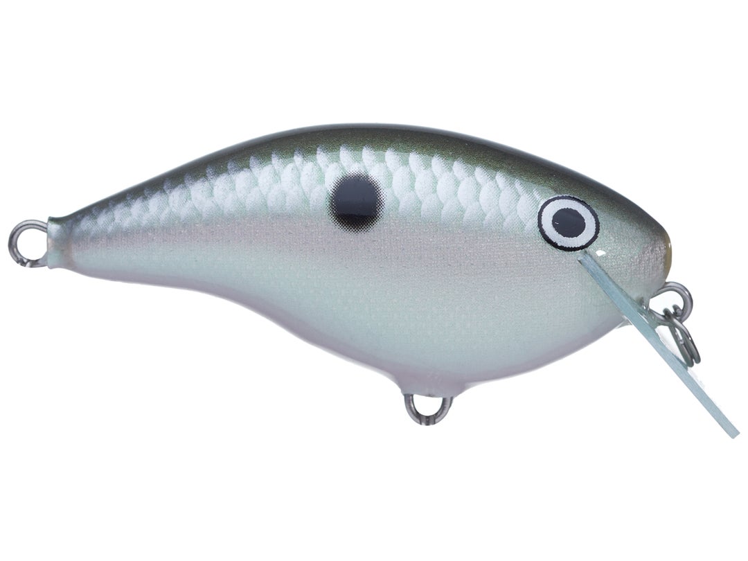 Rapala Ott's Garage OG Rocco 5 Crankbait