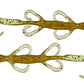 Zoom Lizard Swimbaits