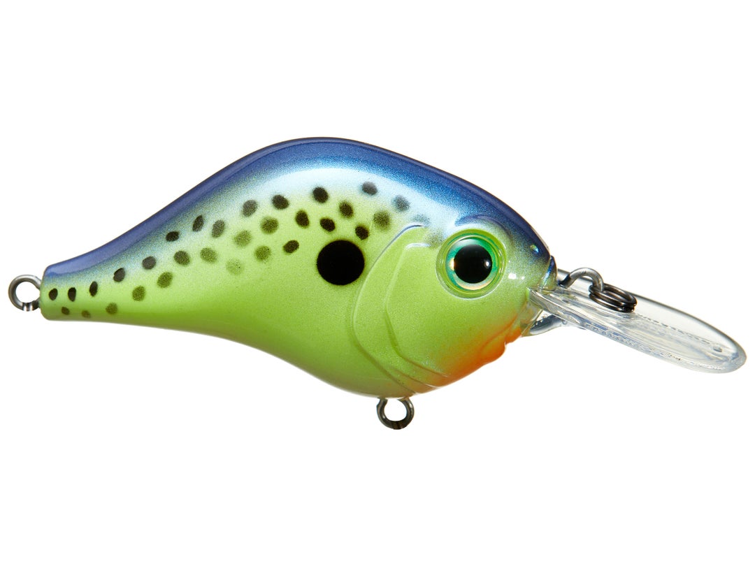 Bill Lewis MR-6 Crankbaits 4