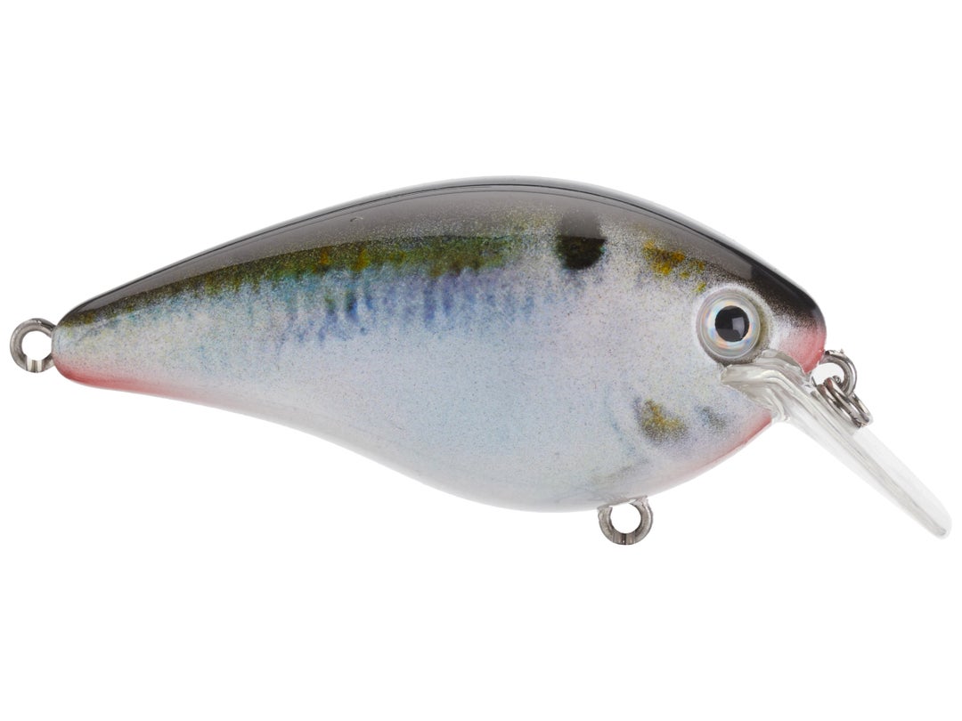 Strike King KVD 1.5 Square Bill Silent Crankbait 19