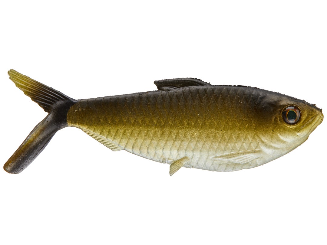 13 Fishing - Coalition Bait Co The Dine Swimbait 3pk 3