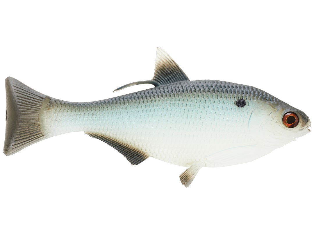 13 Fishing - Coalition BAMF Shad Wedge Tail Swimbait 3