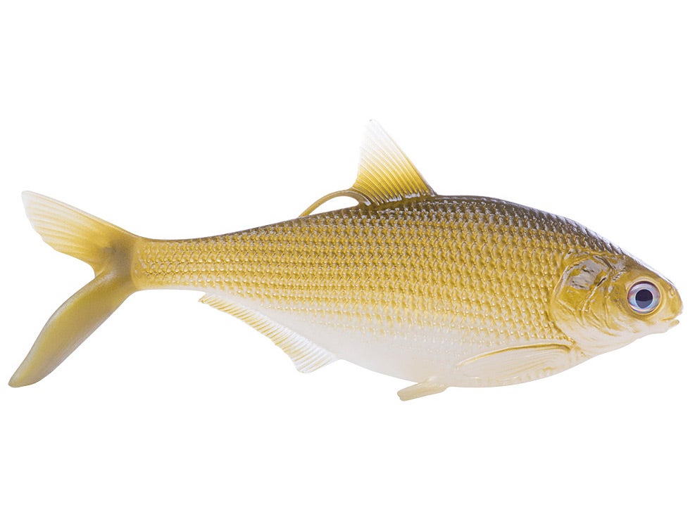 13 Fishing - Coalition Bait Co BAMF Shad Swimbait