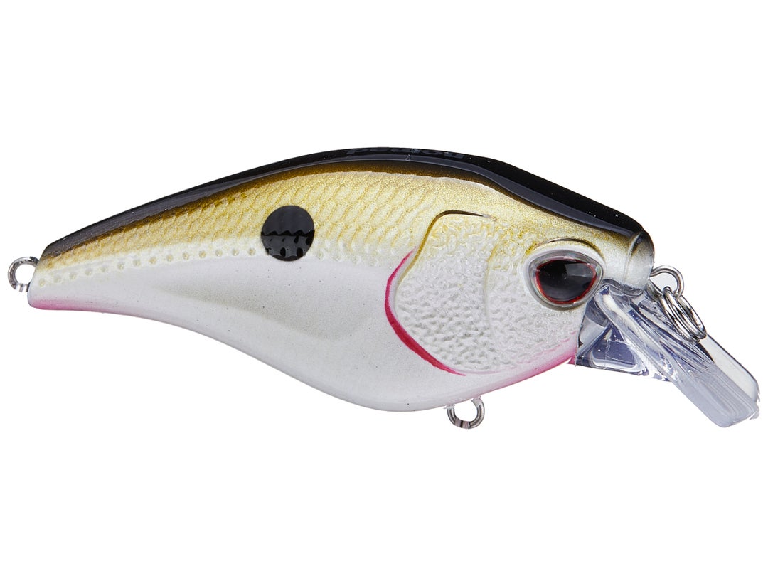 Nomad Design Atlas Squarebill Crankbait 3