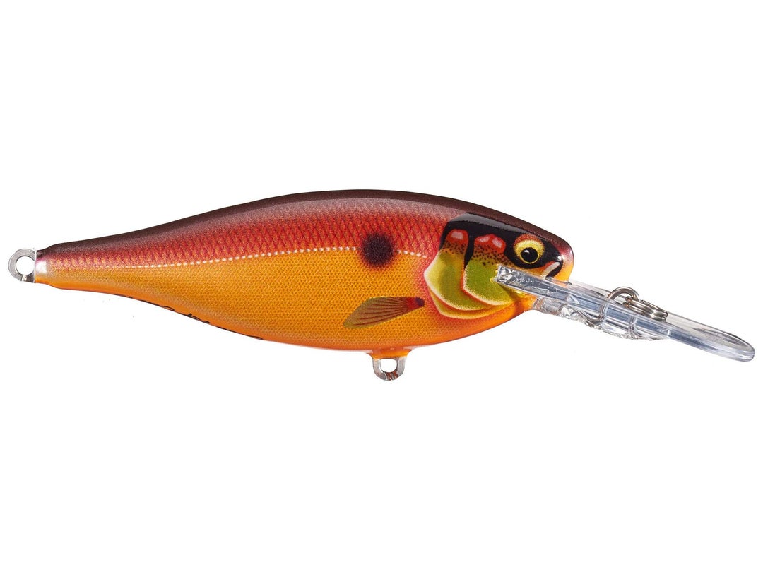 Rapala Shad Rap Elite 75 Crankbaits 3
