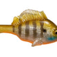 Megabass Sleeper Gill Swimbaits