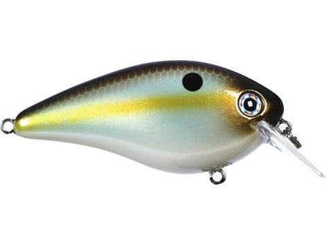 Strike King KVD Magnum Squarebill Crankbait 12