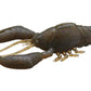 Megabass Sleeper Craw 1pk