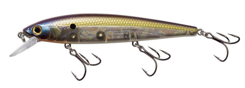 Strike King KVD Elite 300 Jerkbait 3