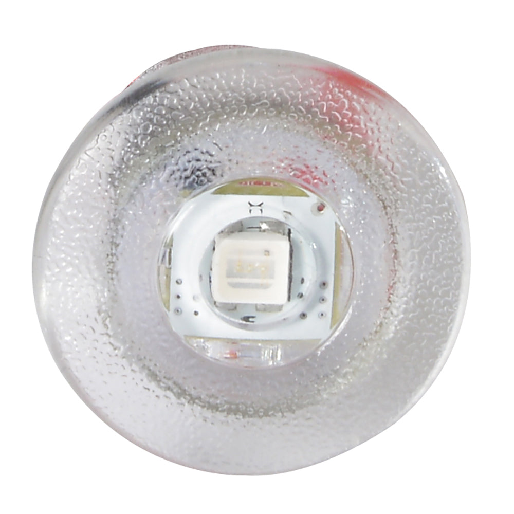 Lumitec Newt - Livewell  Courtesy Light - Warm White Non-Dimming [101240] 3