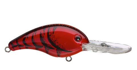 Strike King 10XD Crankbait 3