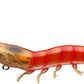 LIVE TARGET Hybrid Shrimp