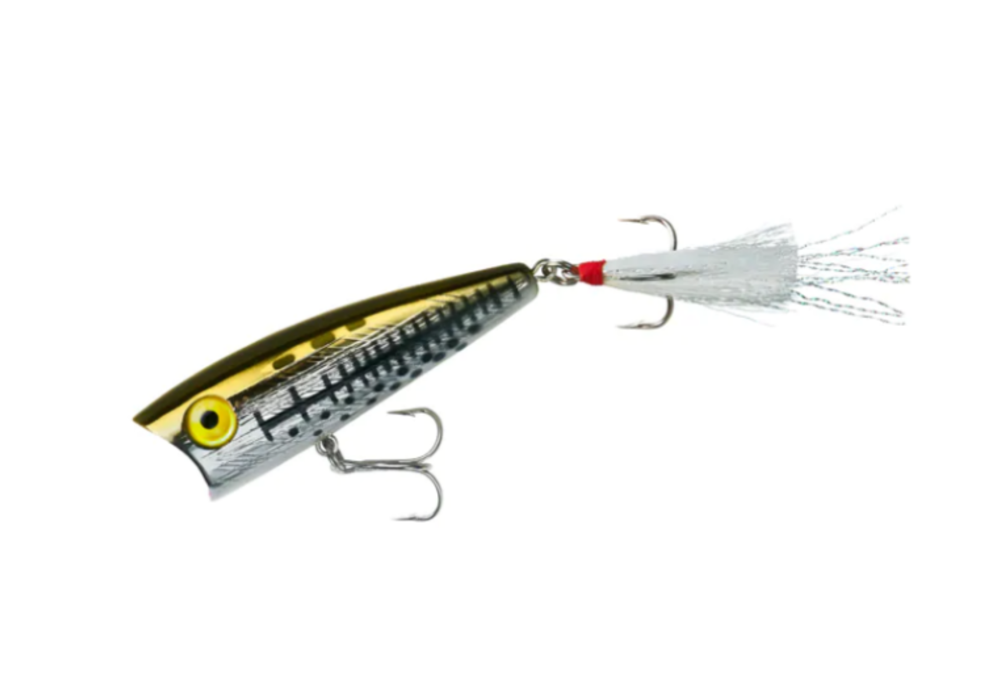 Rebel Pop-R Topwater Popper 6