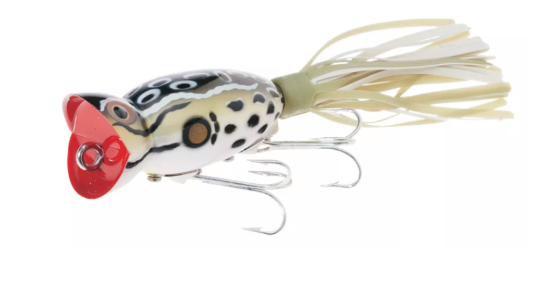 Arbogast Hula Popper 6