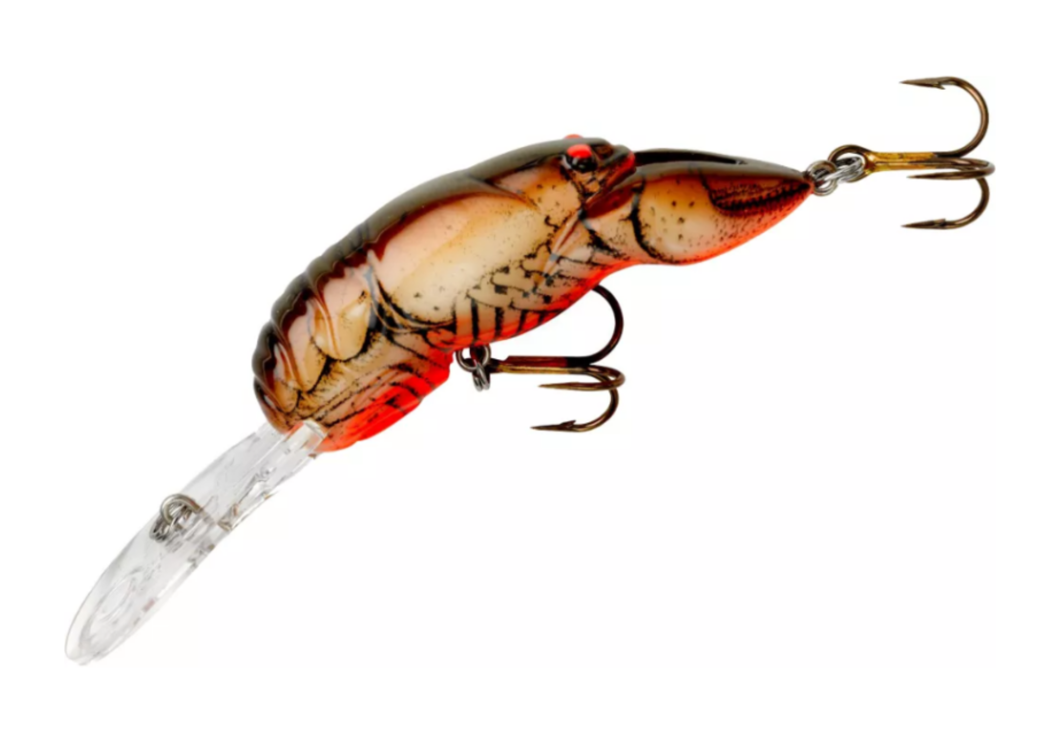 Rebel Wee Crawfish 3